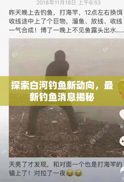 探索白河釣魚新動向，最新釣魚消息揭秘