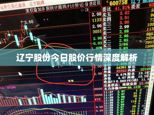 遼寧股份今日股價行情深度解析