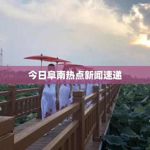 今日阜南熱點新聞速遞