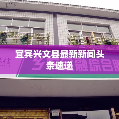 宜賓興文縣最新新聞頭條速遞