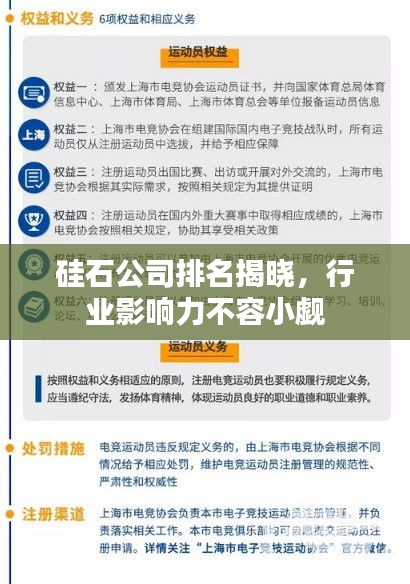 硅石公司排名揭曉，行業(yè)影響力不容小覷