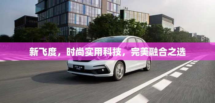 新飛度，時尚實用科技，完美融合之選