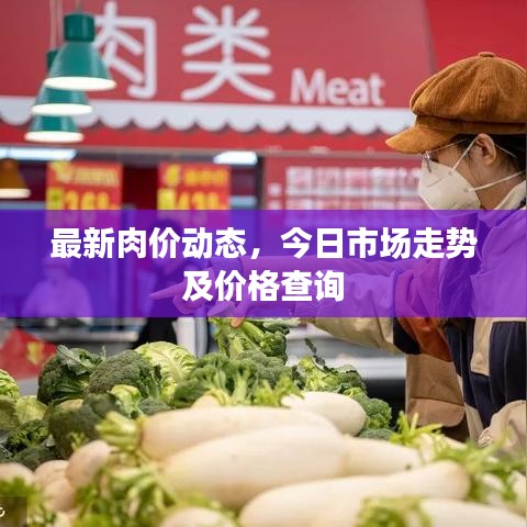 最新肉價動態(tài)，今日市場走勢及價格查詢