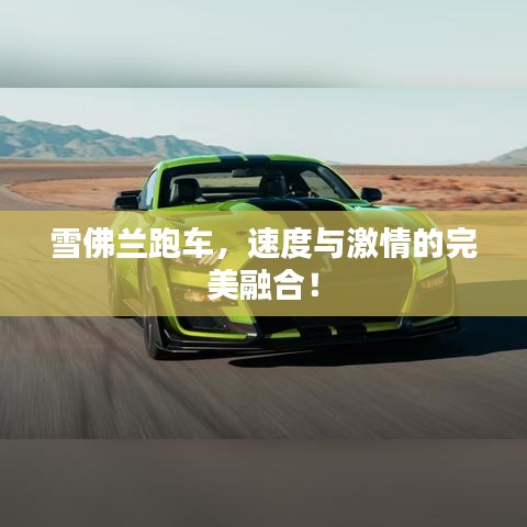 雪佛蘭跑車，速度與激情的完美融合！