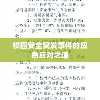 校園安全突發(fā)事件的應(yīng)急應(yīng)對(duì)之道