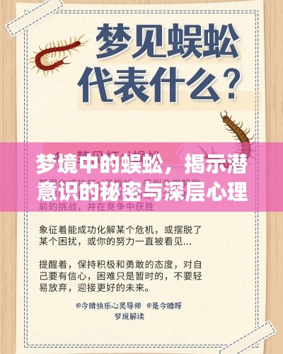 2025年5月1日 第3頁(yè)