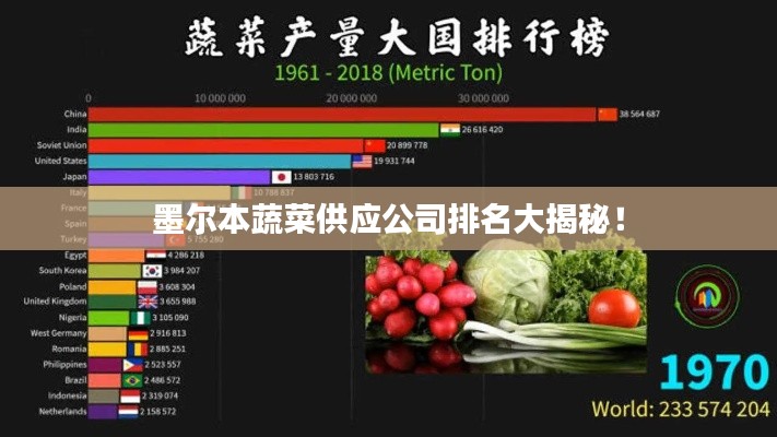 墨爾本蔬菜供應(yīng)公司排名大揭秘！