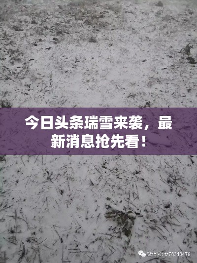 今日頭條瑞雪來(lái)襲，最新消息搶先看！