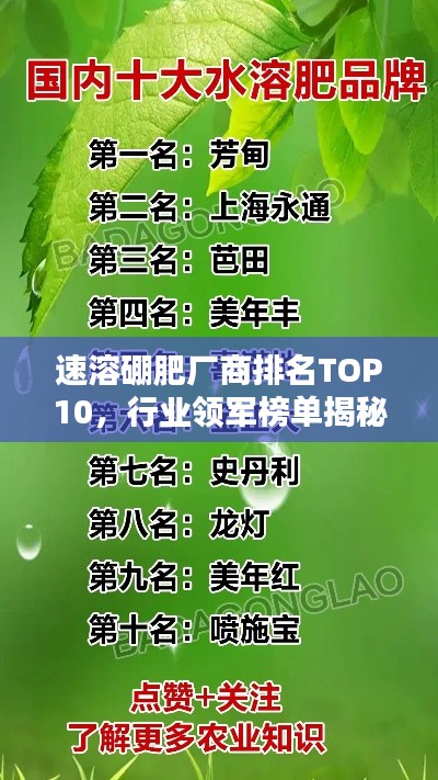 速溶硼肥廠商排名TOP10，行業(yè)領(lǐng)軍榜單揭秘！