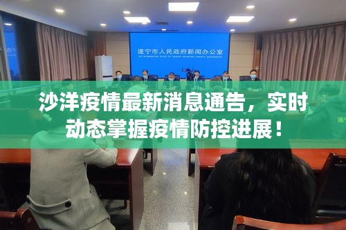 沙洋疫情最新消息通告，實時動態(tài)掌握疫情防控進(jìn)展！