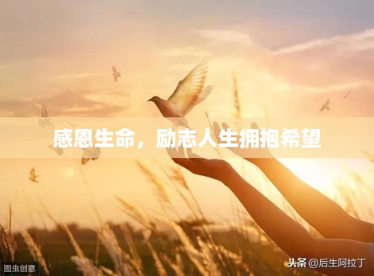 感恩生命，勵志人生擁抱希望