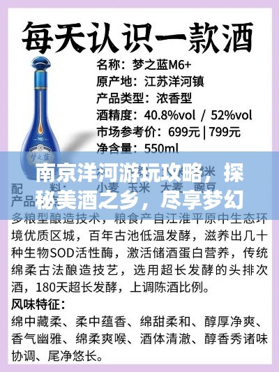 南京洋河游玩攻略，探秘美酒之鄉(xiāng)，盡享夢幻之旅！