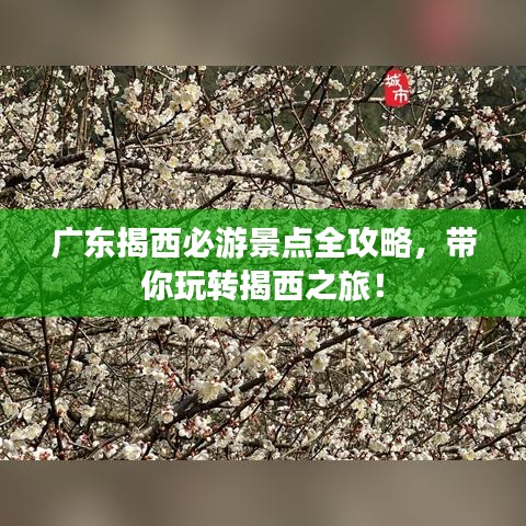 廣東揭西必游景點全攻略，帶你玩轉揭西之旅！