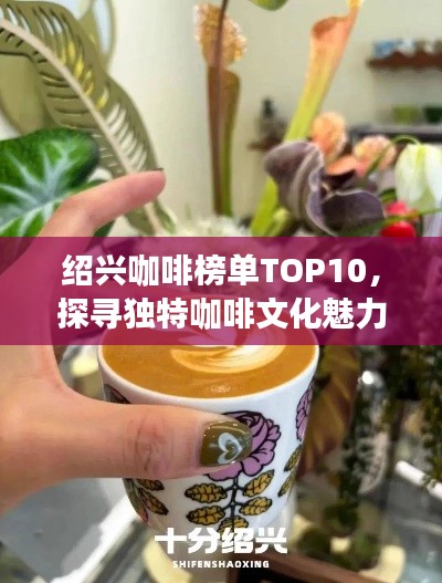 紹興咖啡榜單TOP10，探尋獨(dú)特咖啡文化魅力