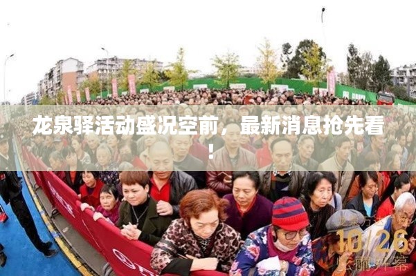 龍泉驛活動盛況空前，最新消息搶先看！