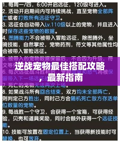 逆戰(zhàn)寵物最佳搭配攻略，最新指南