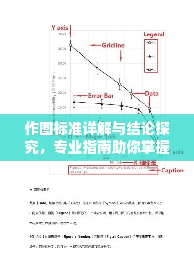 作圖標(biāo)準(zhǔn)詳解與結(jié)論探究，專業(yè)指南助你掌握要點