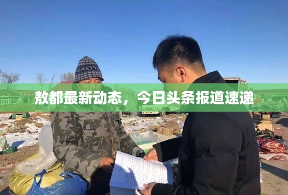 敖都最新動態(tài)，今日頭條報道速遞