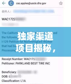 獨(dú)家渠道項(xiàng)目揭秘，成功要素一網(wǎng)打盡