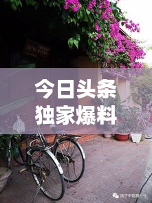 今日頭條獨(dú)家爆料，嬌姐最新動(dòng)態(tài)揭秘
