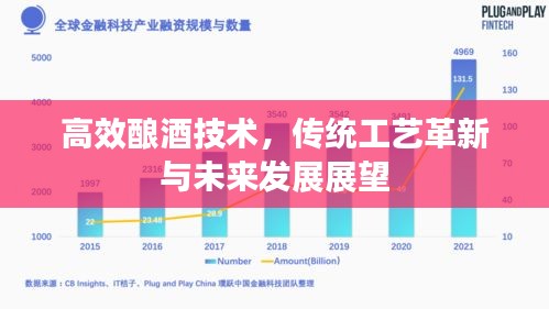 高效釀酒技術(shù)，傳統(tǒng)工藝革新與未來發(fā)展展望