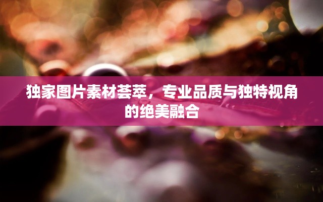 獨(dú)家圖片素材薈萃，專業(yè)品質(zhì)與獨(dú)特視角的絕美融合