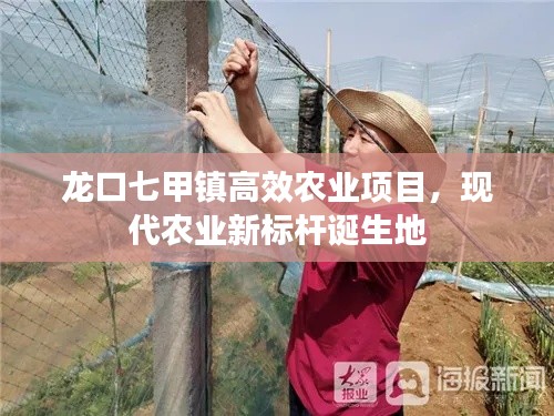 龍口七甲鎮(zhèn)高效農(nóng)業(yè)項(xiàng)目，現(xiàn)代農(nóng)業(yè)新標(biāo)桿誕生地