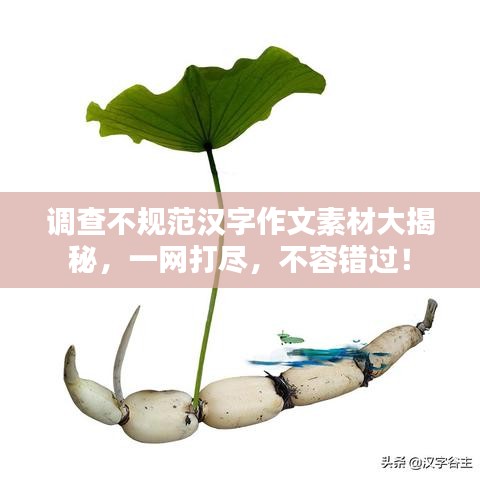 調(diào)查不規(guī)范漢字作文素材大揭秘，一網(wǎng)打盡，不容錯(cuò)過！