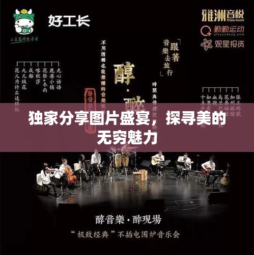獨(dú)家分享圖片盛宴，探尋美的無窮魅力