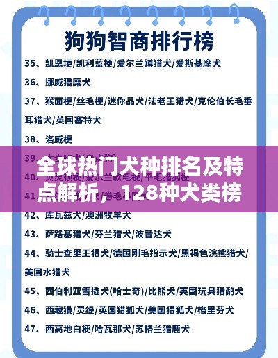 全球熱門犬種排名及特點解析，128種犬類榜單揭秘