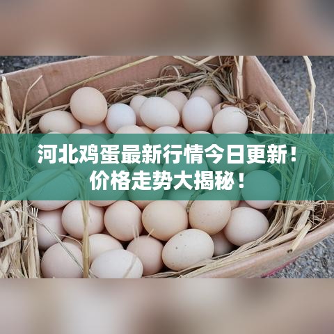 資料中心 第19頁