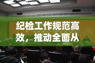 紀檢工作規(guī)范高效，推動全面從嚴治黨縱深發(fā)展，打造清廉新時代
