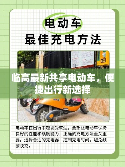臨高最新共享電動車，便捷出行新選擇