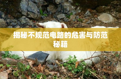 揭秘不規(guī)范電路的危害與防范秘籍