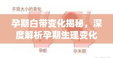 孕期白帶變化揭秘，深度解析孕期生理變化
