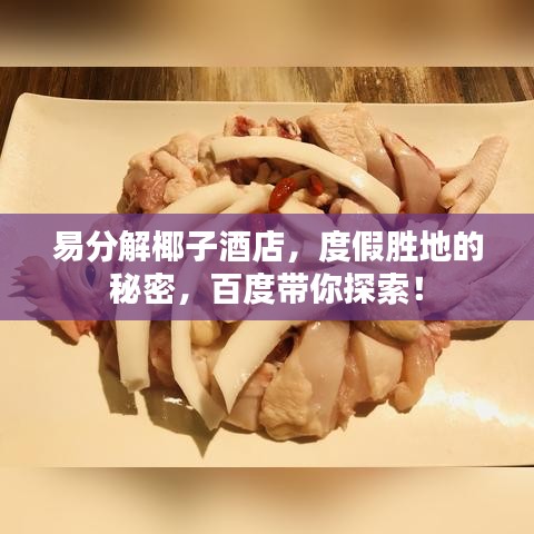 易分解椰子酒店，度假勝地的秘密，百度帶你探索！