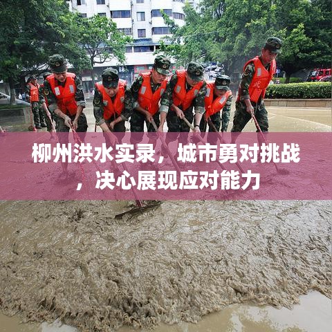柳州洪水實錄，城市勇對挑戰(zhàn)，決心展現(xiàn)應(yīng)對能力