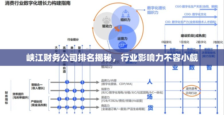 峽江財(cái)務(wù)公司排名揭秘，行業(yè)影響力不容小覷