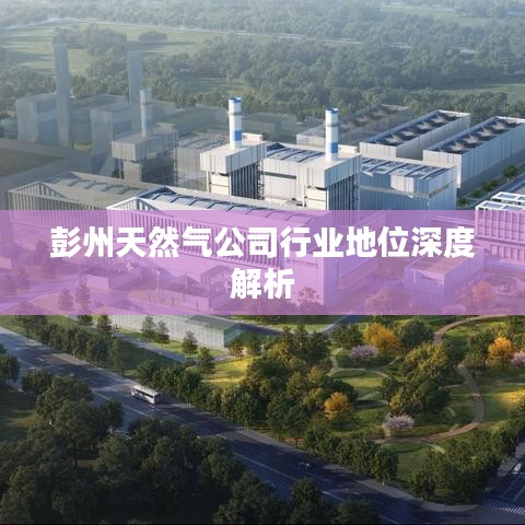 彭州天然氣公司行業(yè)地位深度解析