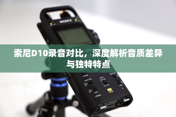 索尼D10錄音對比，深度解析音質(zhì)差異與獨特特點