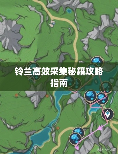 鈴蘭高效采集秘籍攻略指南