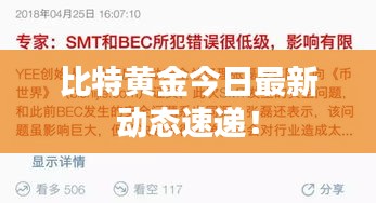 比特黃金今日最新動(dòng)態(tài)速遞！