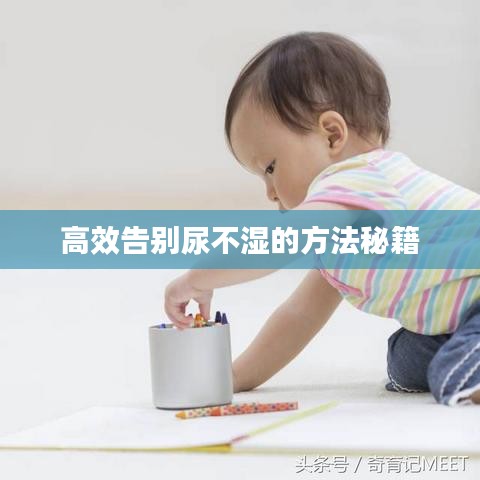 高效告別尿不濕的方法秘籍