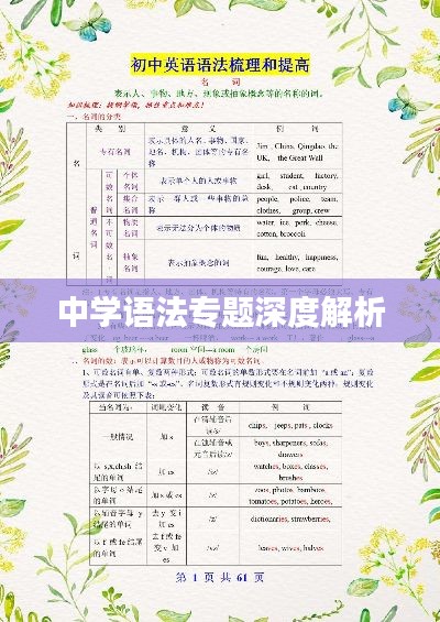 中學(xué)語法專題深度解析