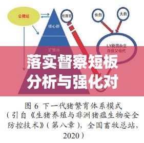 落實督察短板分析與強化對策探討