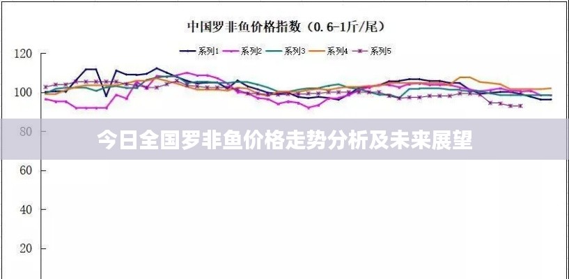 今日全國羅非魚價格走勢分析及未來展望