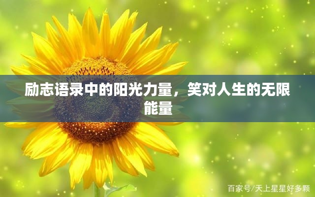 勵志語錄中的陽光力量，笑對人生的無限能量