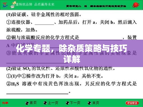 化學(xué)專題，除雜質(zhì)策略與技巧詳解