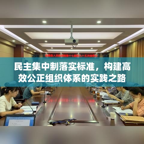 民主集中制落實標準，構(gòu)建高效公正組織體系的實踐之路