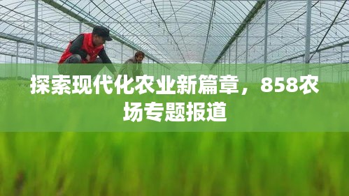 探索現(xiàn)代化農(nóng)業(yè)新篇章，858農(nóng)場(chǎng)專題報(bào)道